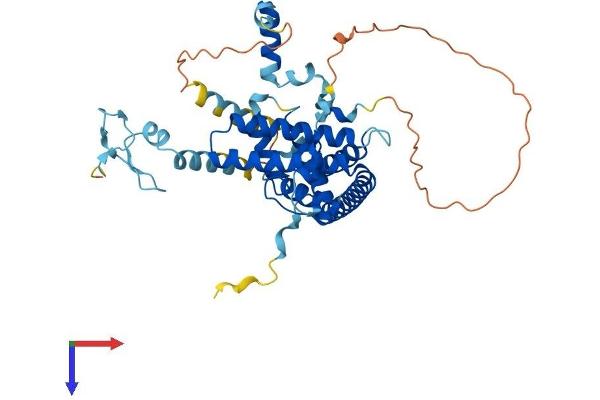 ZNHIT2 Protein (AA 1-403) (His tag)