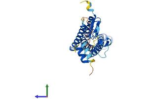 AlphaFold protein structure predicition of Human Recombinant ZDHHC12 Protein, UniprotID Q96GR4