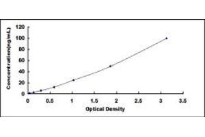 Typical standard curve (HSP90AA1 ELISA Kit)