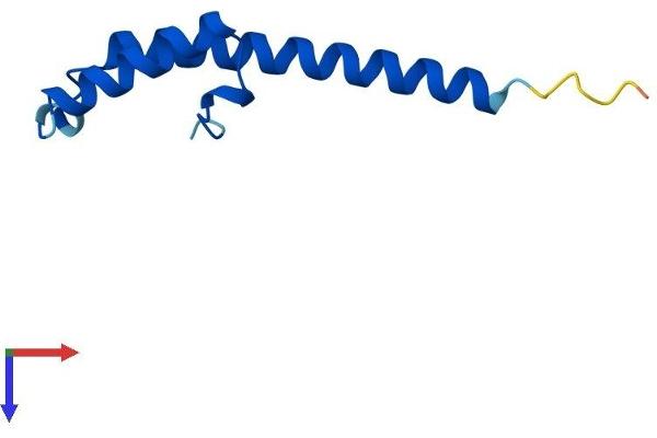 C16orf61 Protein (AA 1-79) (Fc Tag)