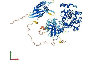 Protein Structure (PS) image for serum/glucocorticoid Regulated Kinase Family, Member 3 (SGK3) (AA 1-496) protein (His tag) (ABIN7565049)
