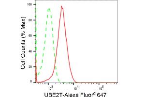 Flow cytometric analysis of UBE2T expression in HepG2 cells using UBE2T antibody (ABIN7800753), 1:2,000). (Rekombinanter Ube2t Antikörper)