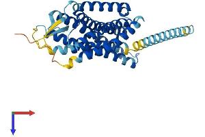GPR65 Protein (AA 1-337) (His tag)