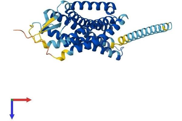 GPR65 Protein (AA 1-337) (His tag)