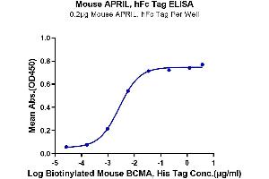 ELISA image for Tumor Necrosis Factor (Ligand) Superfamily, Member 13 (TNFSF13) (AA 96-241) protein (Fc Tag) (ABIN7273875)