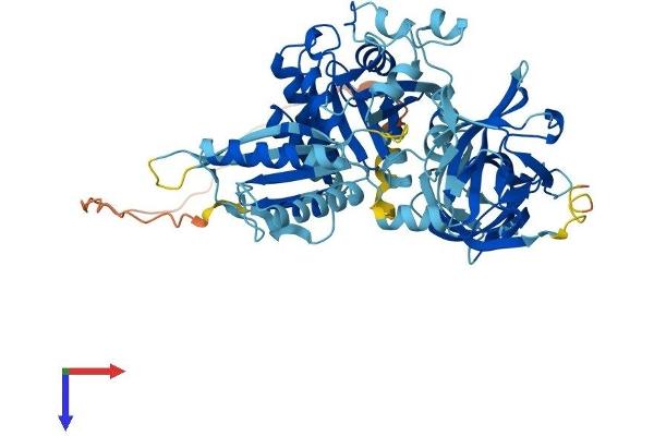 GTPBP2 Protein (AA 1-602) (His tag)