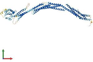 Protein Structure (PS) image for SEC14 and Spectrin Domains 1 (SESTD1) (AA 1-696) protein (His tag) (ABIN7564259)
