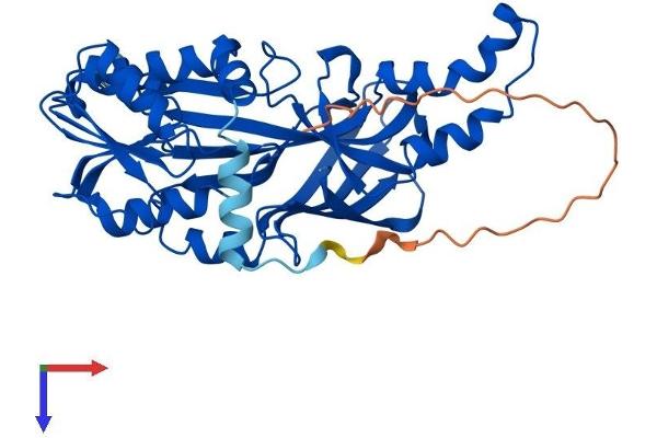 PRMT6 Protein (AA 1-378) (His tag)