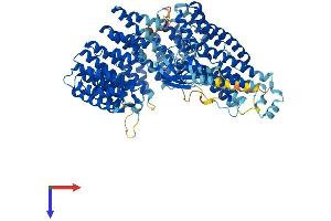 INTS7 Protein (AA 1-962) (His tag)