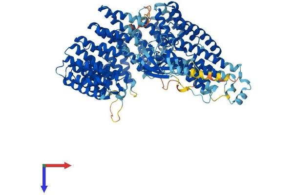 INTS7 Protein (AA 1-962) (His tag)