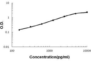 Sandwich ELISA - Recombinant human IGFBP3 protein standard curve. (IGFBP3 Antikörper  (AA 29-267))