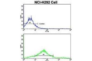 Flow Cytometry (FACS) image for anti-Cadherin 7 (CDH7) antibody (ABIN2998181) (Cadherin 7 Antikörper)