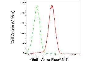 Flow cytometric analysis of Ythdf1 expression in HAP-1 cells using Ythdf1 antibody (ABIN7800885), 1:2,000). (Rekombinanter YTHDF1 Antikörper)
