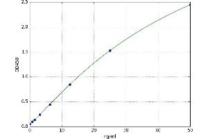 Dexamethasone-Induced Transcript (DEXI) ELISA Kit
