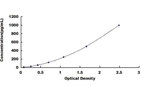 Osteocrin ELISA Kit