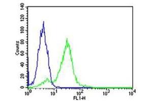 Flow Cytometry (FACS) image for anti-Ribosomal Protein S6 (RPS6) antibody (ABIN3028983)