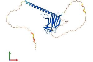 Protein Structure (PS) image for Tumor Necrosis Factor (Ligand) Superfamily, Member 13b (TNFSF13B) (AA 1-309) protein (His tag) (ABIN7556266)