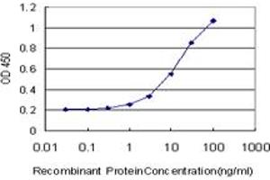 Detection limit for recombinant GST tagged KCNG3 is approximately 0. (KCNG3 Antikörper  (AA 23-121))