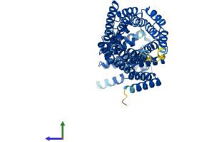 AlphaFold protein structure predicition of Human Recombinant IFIT1B Protein, UniprotID Q5T764