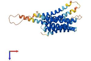 SLC39A9 Protein (AA 1-308) (His tag)