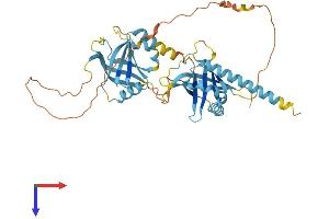PTOV1 Protein (AA 1-416) (His tag)
