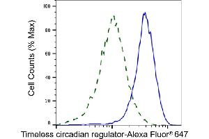 Validation of Timeless circadian regulator knockdown using flow cytometry. (Rekombinanter TIMELESS Antikörper)
