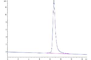 Size-exclusion chromatography-High Pressure Liquid Chromatography (SEC-HPLC) image for Plasminogen Activator, Urokinase Receptor (PLAUR) (AA 24-298) protein (His-Avi Tag) (ABIN7275409)