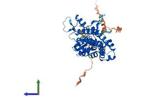 Protein Structure (PS) image for SAC3 Domain Containing 1 (SAC3D1) (AA 1-404) protein (His tag) (ABIN7551685)