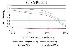 ELISA image for anti-Nuclear Factor of kappa Light Polypeptide Gene Enhancer in B-Cells 1 (NFKB1) antibody (ABIN969312)