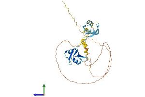 Protein Structure (PS) image for Heterogeneous Nuclear Ribonucleoprotein A/B (HNRNPAB) (AA 1-332) protein (His tag) (ABIN7551550)