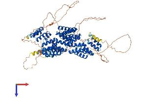 CDC27 Protein (AA 1-824) (His tag)