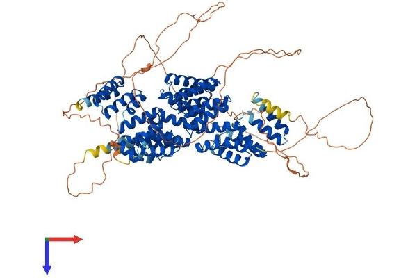 CDC27 Protein (AA 1-824) (His tag)