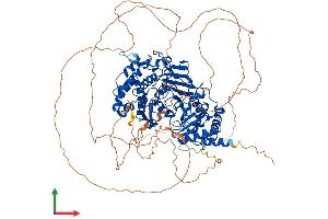 Protein Structure (PS) image for PARG (PARG) (AA 1-969) protein (His tag) (ABIN7562641)