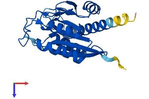 PGPEP1 Protein (AA 1-209) (His tag)