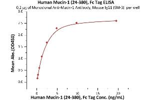 Immobilized Monoclonal A-1 Antibody, Mouse IgG1 (SM-3) at 2 μg/mL (100 μL/well) can bind Human Mucin-1 (24-380), Fc Tag (ABIN6973165) with a linear range of 0.