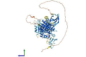 Protein Structure (PS) image for LIM Domain Kinase 2 (LIMK2) (AA 1-638) protein (His tag) (ABIN7562410)
