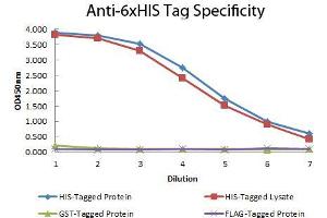 ELISA of Mouse anti-6xHIS Tag Antibody. (His Tag Antikörper  (HRP))