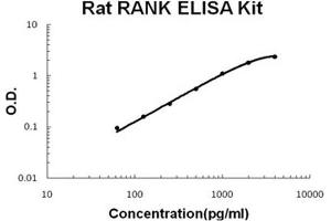 Rat RANK PicoKine ELISA Kit standard curve