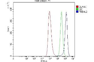 Flow Cytometry analysis of HEL cells using anti-TREML2 antibody (ABIN7602217).