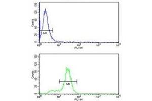 Keratin-14 antibody flow cytometry analysis of MDA-MB231 cells (bottom histogram) compared to a negative control (top histogram). (KRT14 Antikörper  (AA 276-303))