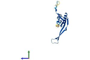 Protein Structure (PS) image for Mitochondrial Ribosomal Protein S10 (MRPS10) (AA 1-160) protein (His tag) (ABIN7558458)