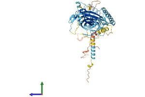 Protein Structure (PS) image for Meckel Syndrome, Type 1 (MKS1) (AA 1-561) protein (His tag) (ABIN7563847)