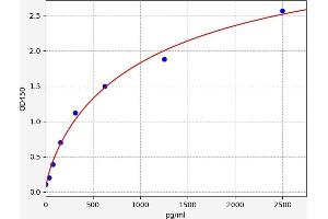 Angiopoietin 2 (ANGPT2) ELISA Kit