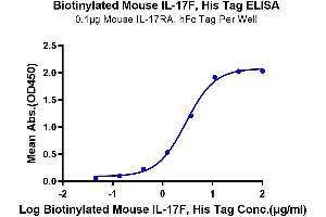Immobilized Mouse IL-17RA , hFc Tag at 1 μg/mL (100 μL/Well) on the plate.