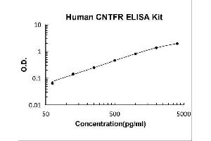 Ciliary Neurotrophic Factor Receptor (CNTFR) ELISA Kit