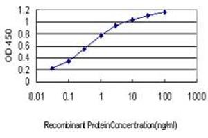 Detection limit for recombinant GST tagged ENO3 is approximately 0. (ENO3 Antikörper  (AA 228-277))