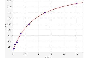 Growth Differentiation Factor 6 (GDF6) ELISA Kit
