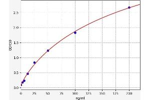 F12 ELISA Kit