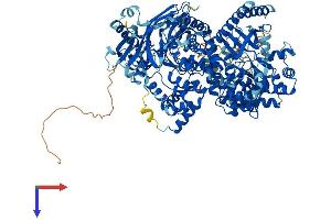 PIK3 gamma Protein (AA 1-1102) (His tag)