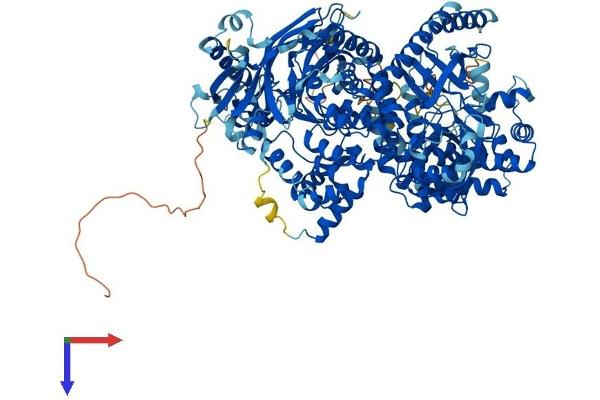PIK3 gamma Protein (AA 1-1102) (His tag)